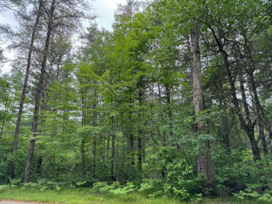 ON WHITETAIL ACRES RD, ST GERMAIN, WI 54558 - Image 1