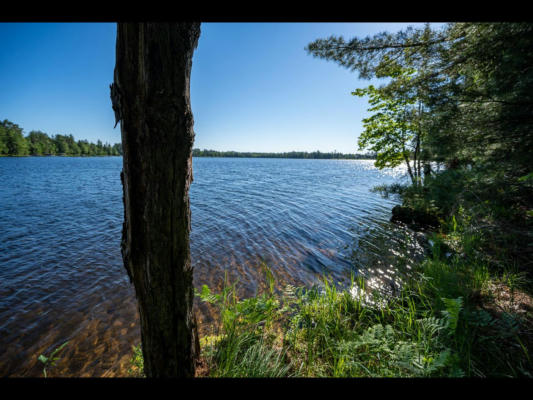 157-159 CLEARWATER LAKE TR, EAGLE RIVER, WI 54521, photo 5 of 23
