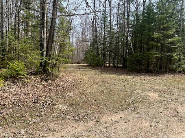 ON MARY LAKE LN # LOT 3, TOWNSEND, WI 54175, photo 1 of 12