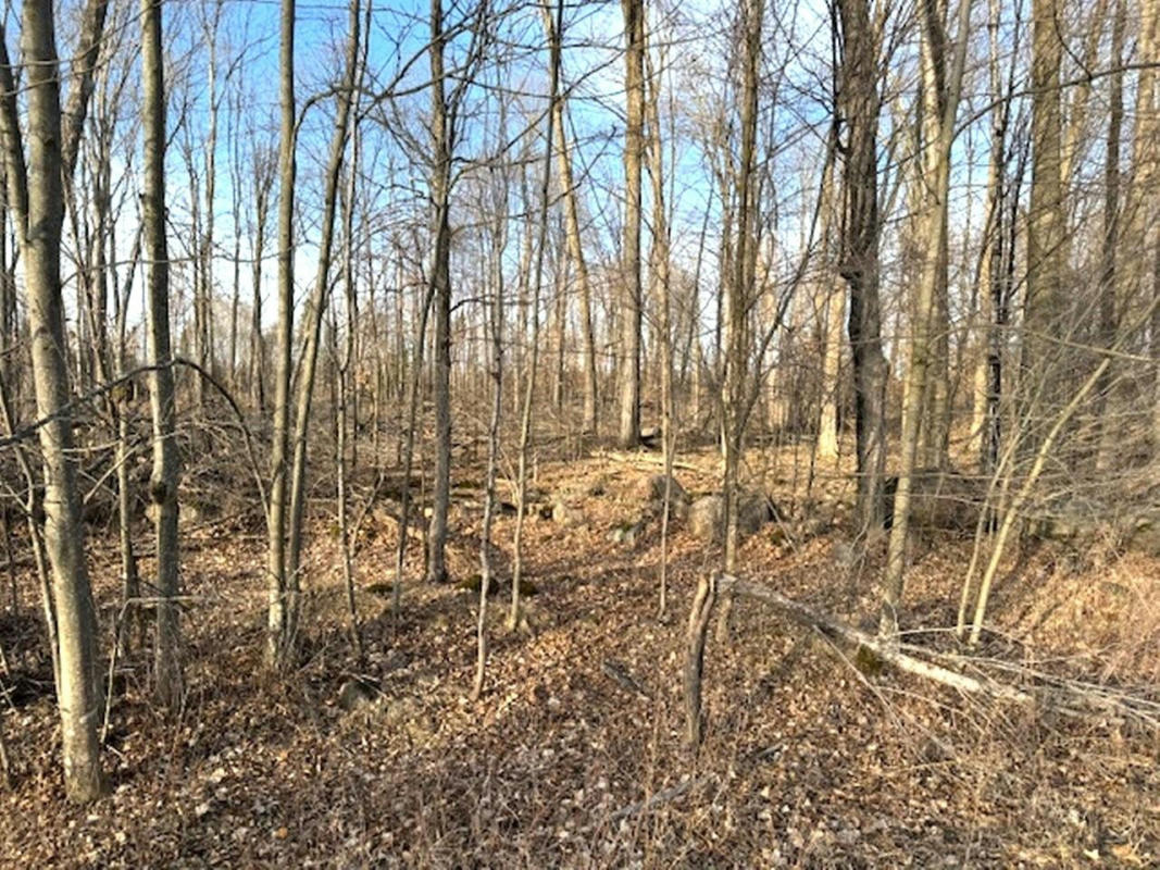 LOT 2 THORN APPLE DR, WITTENBERG, WI 54499, photo 1 of 10