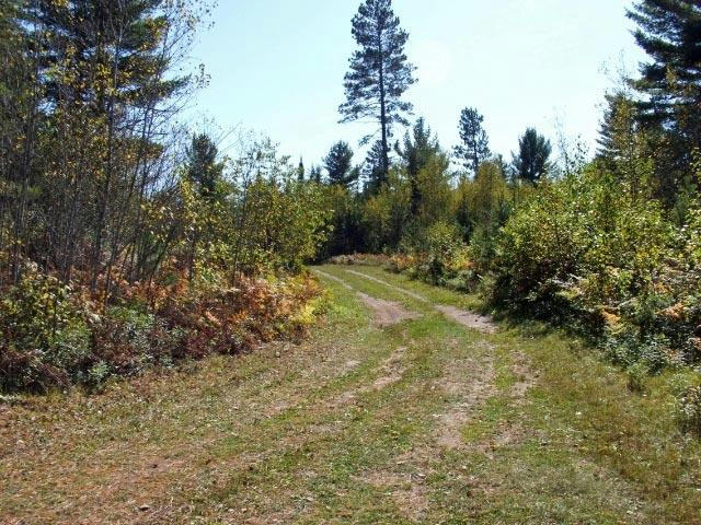 TBD FOREST RD 2127, IRON RIVER, MI 49935, photo 1 of 5