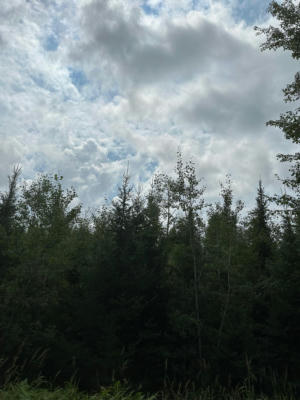 ON CTH Y # LOT 11, TOMAHAWK, WI 54487 - Image 1