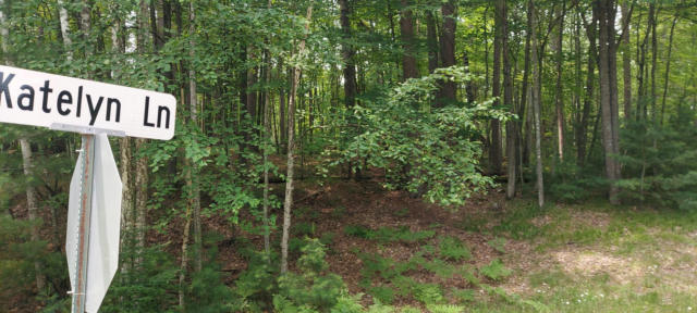 LOT 2 KATELYN LN, RHINELANDER, WI 54501 - Image 1