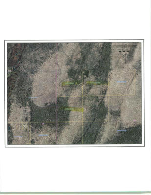OFF HOLFORD RD # 120 ACRES, ALVIN, WI 54542, photo 4 of 5