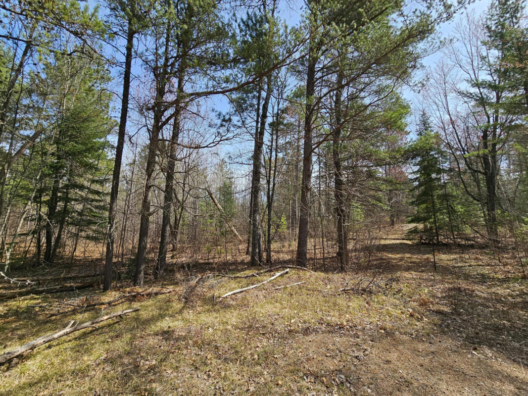 NEAR JACK PINE FOREST RD, LAKE TOMAHAWK, WI 54521, photo 1 of 6