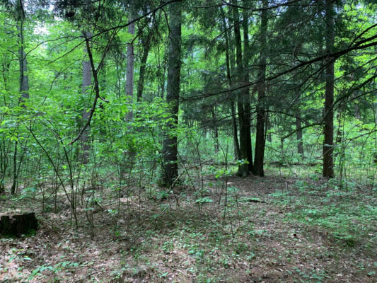 LOT 44 NORWAY PINE TR, TOMAHAWK, WI 54487, photo 5 of 8