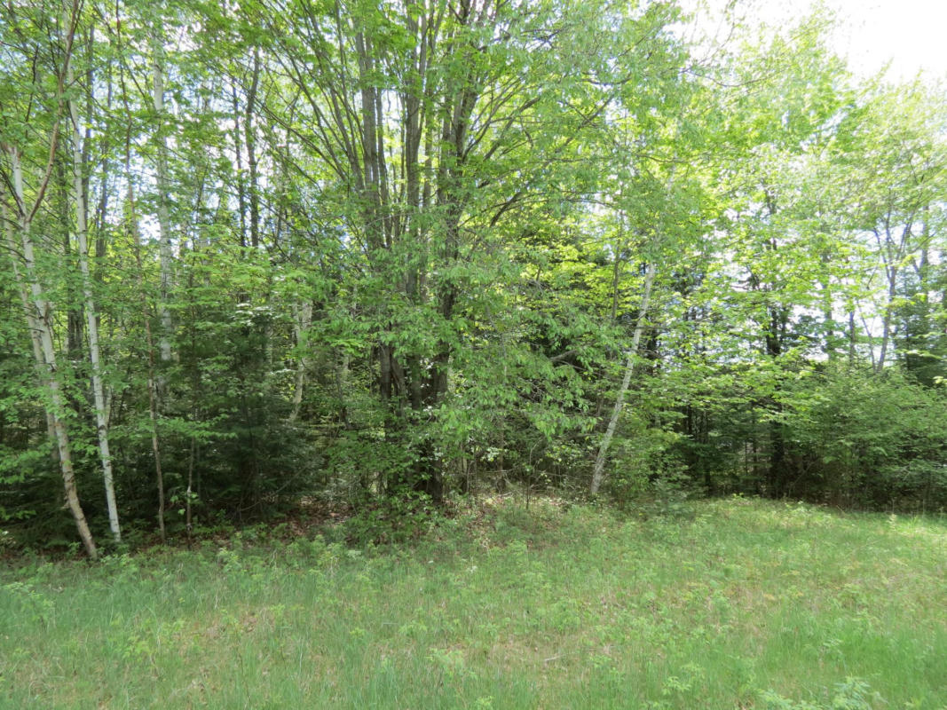 LOT 1 SAND COVE POINTE RD, PARK FALLS, WI 54552, photo 1 of 14