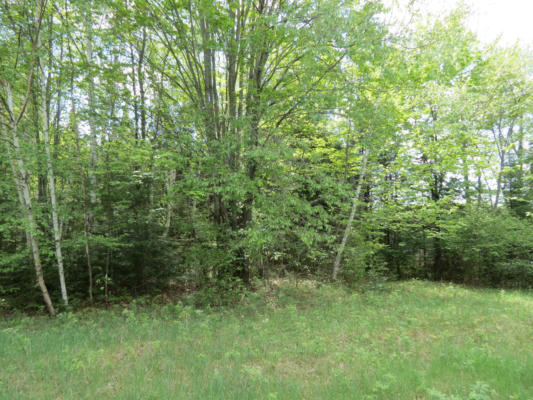 LOT 1 SAND COVE POINTE RD, PARK FALLS, WI 54552 - Image 1