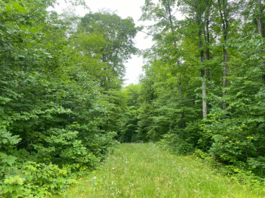 NEAR WEST RD, BUTTERNUT, WI 54514 - Image 1