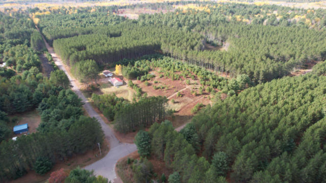1.9 ACRS FOREST RD, TOMAHAWK, WI 54487 - Image 1