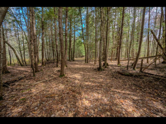 LOT 21 BONITA PT, THREE LAKES, WI 54521, photo 2 of 10