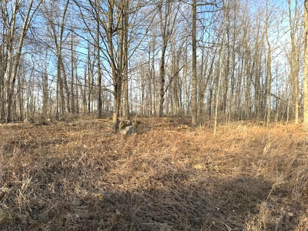 LOT1 THORN APPLE DR, WITTENBERG, WI 54499, photo 1 of 9