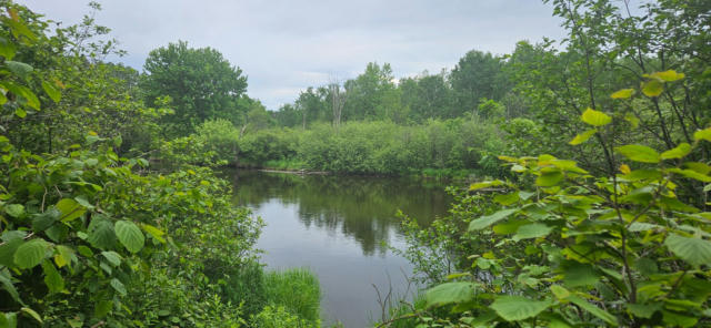 ON EAGLES NEST LN, TOMAHAWK, WI 54487 - Image 1