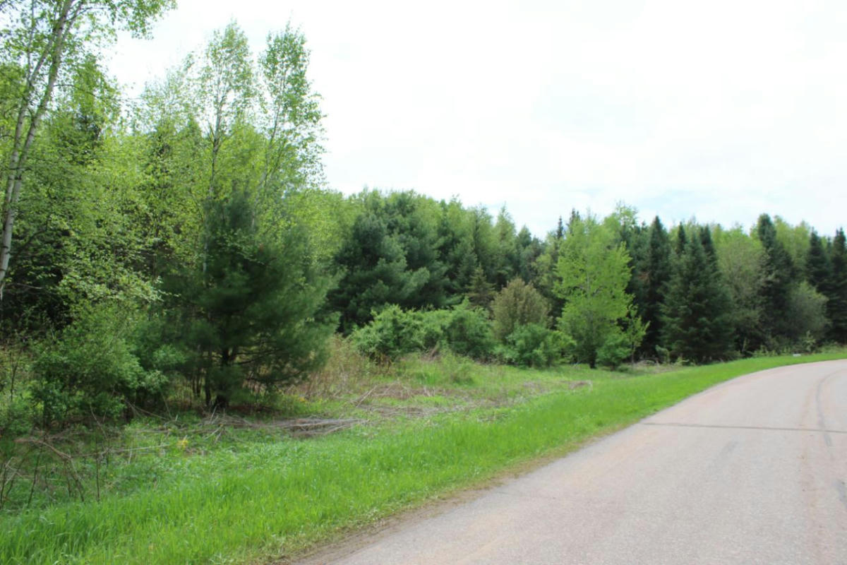 LOT 2 RUSSELL CT, MERRILL, WI 54452, photo 1