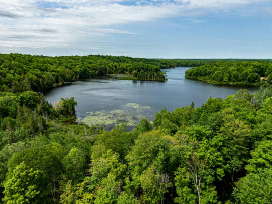 OFF POMEROY LAKE RD # LOT 27, NORTH OF PRESQUE ISLE, MI 49947, photo 2 of 28