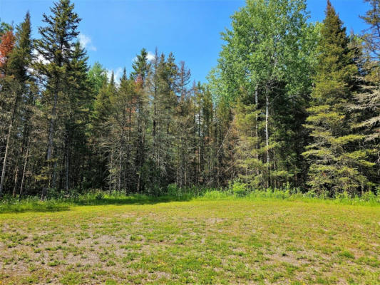 LOT D HOMERS RD, MERCER, WI 54547 - Image 1