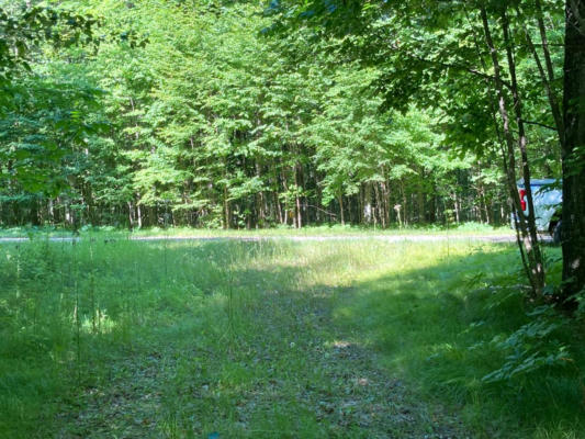 ON CAMP SIX LOOP # LOT 16, LAONA, WI 54541, photo 4 of 18