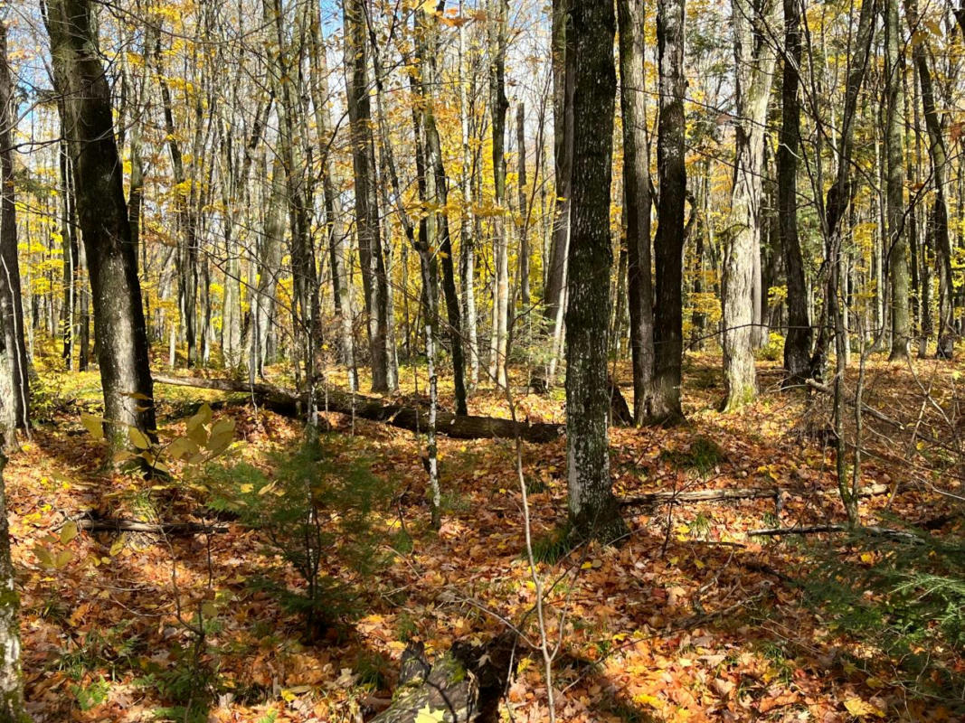 LOT 26 BLACK FOREST RD, PRESQUE ISLE, WI 54557, photo 1 of 19