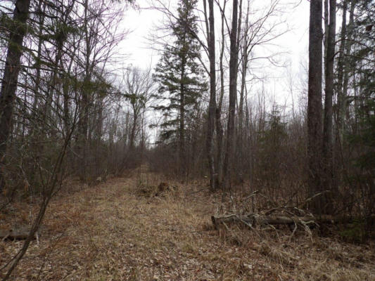 OFF WRIGHT RD # 40+/- ACRE, WINTER, WI 54896 - Image 1