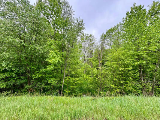 40 ACRES CTH D, WESTBORO, WI 54490 - Image 1