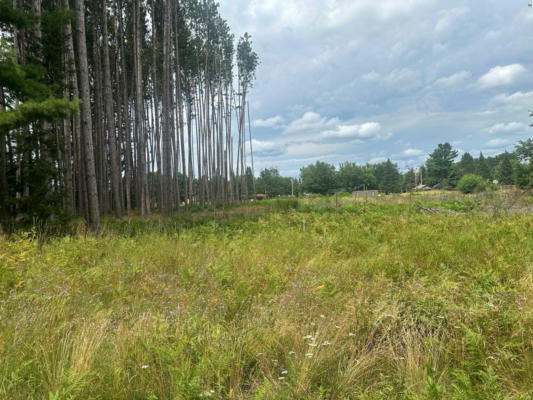 ON ILLINOIS RD, EAGLE RIVER, WI 54521, photo 2 of 9