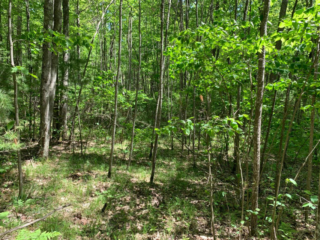 LOT 44 NORWAY PINE TR, TOMAHAWK, WI 54487, photo 1 of 8