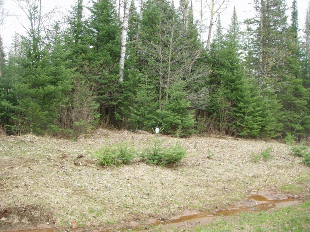 ON CTH N # LOT 3, GLIDDEN, WI 54527, photo 1 of 6
