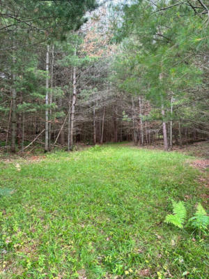 ON BIRCH POINT RD # LOT 1, CONOVER, WI 54519, photo 5 of 17