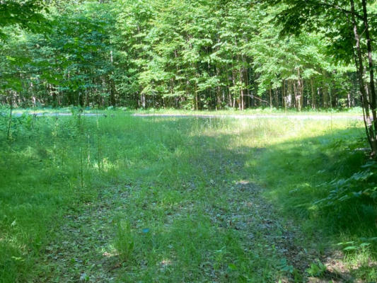 ON CAMP SIX LOOP # LOT 16, LAONA, WI 54541, photo 5 of 18