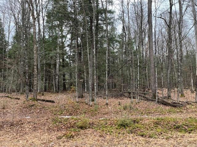 ON FOREST LAKE RD W # LOT 2, LAND O LAKES, WI 54540, photo 1 of 2