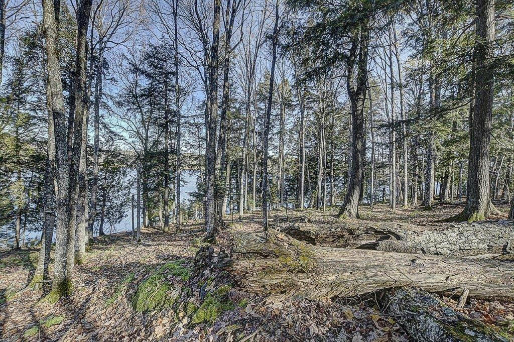 ON TIMBER WOLF RD # LOT #31, PRESQUE ISLE, WI 54557, photo 1 of 13