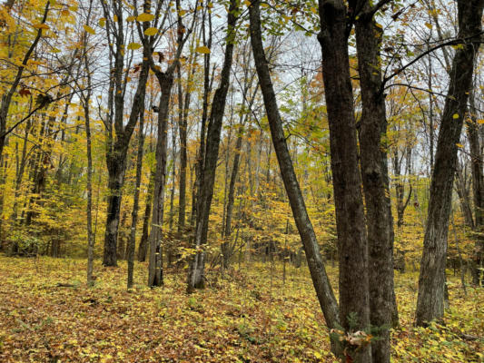 ON HOWLING TRAIL RD, LAC DU FLAMBEAU, WI 54538, photo 5 of 10