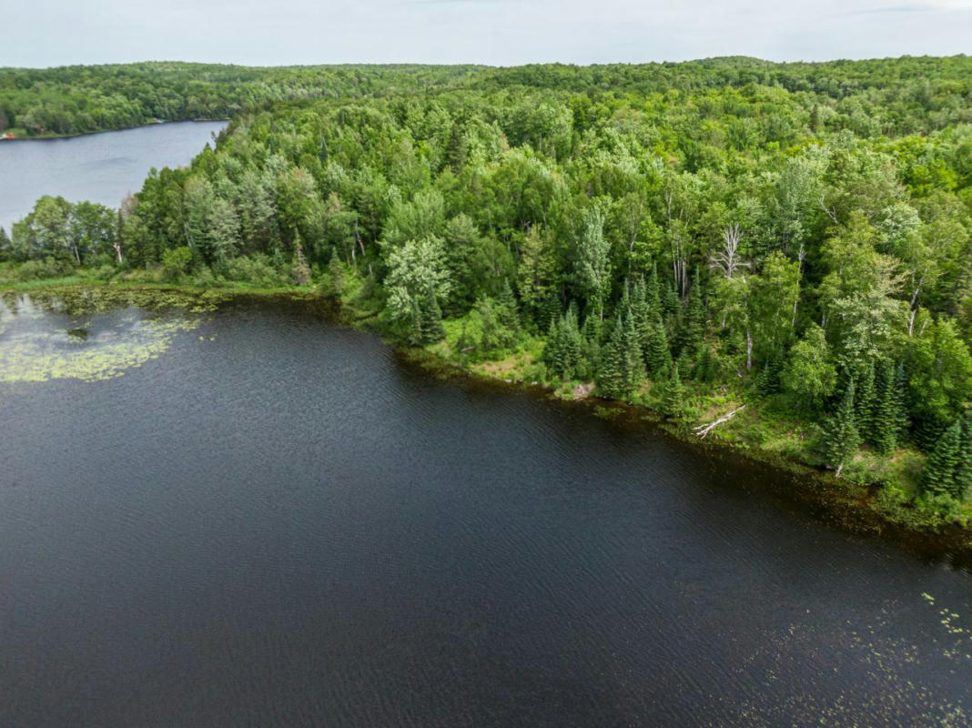 OFF POMEROY LAKE RD # LOT 27, NORTH OF PRESQUE ISLE, MI 49947, photo 1 of 28