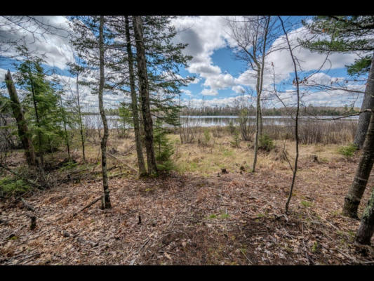 LOT 21 BONITA PT, THREE LAKES, WI 54521, photo 5 of 10