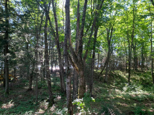 OFF KNUTH LN # LOT 4, LAND O' LAKES, WI 54540, photo 5 of 28